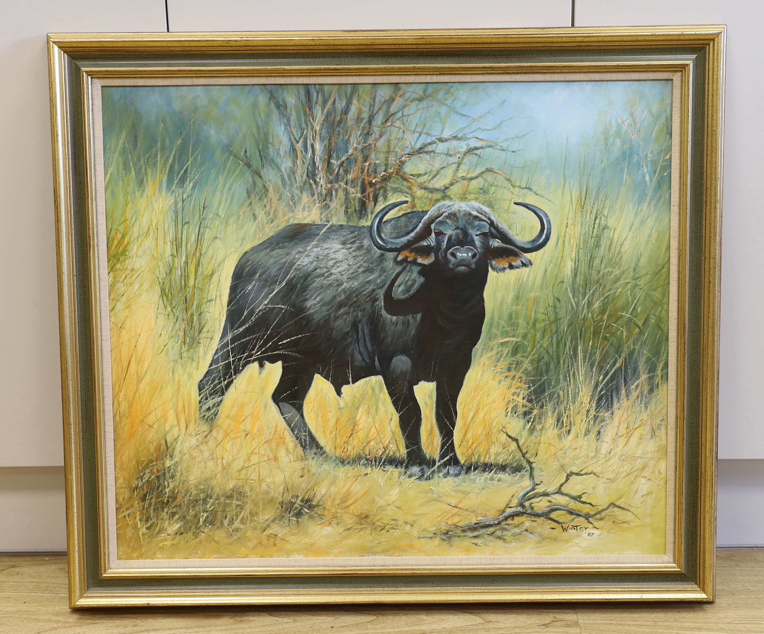 Winter (South African), oil on canvas, Study of a buffalo, signed and dated '87, 70 x 60cm